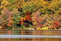 fall at canoe brook lake in trumbull